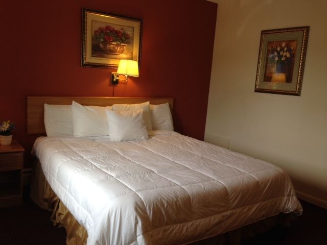 Rodeway Inn Manchester Værelse billede